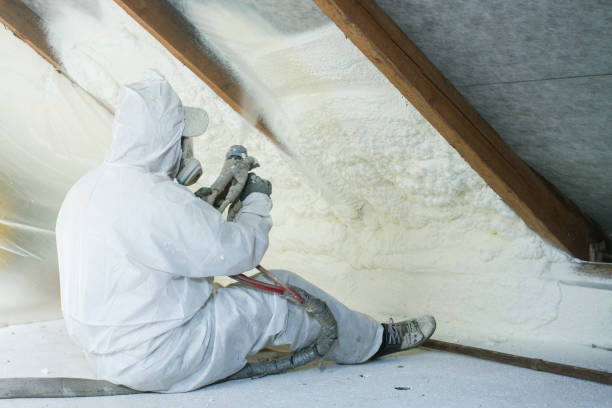 Best Garage Insulation  in Timonium, MD